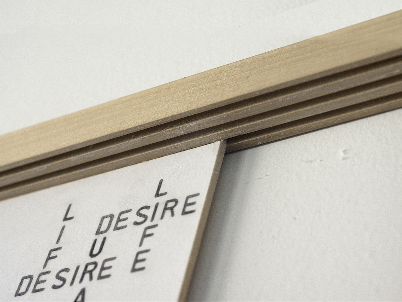 Benoit-Delaunay-artiste-installations-2013-A Set of Valuable Skills-Life-Desire-Satisfaction-Duration-06