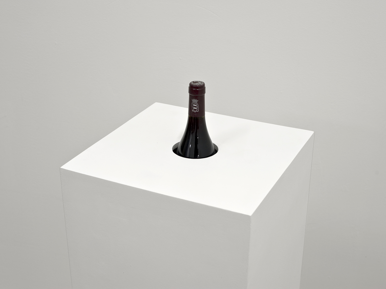 Benoit-Delaunay-artiste-sculptures-2011-Premier Cru-02